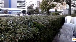 我的性青春极品美鲍鱼嫩妹妹被亲哥强行拉倒床上穿着校服做爱